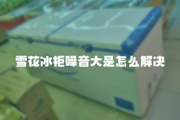 雪花冰柜噪音大是怎么解決