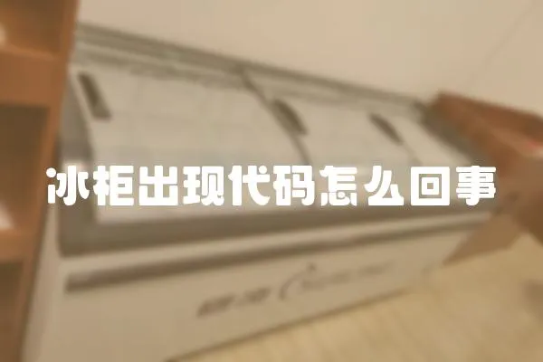 冰柜出現代碼怎么回事