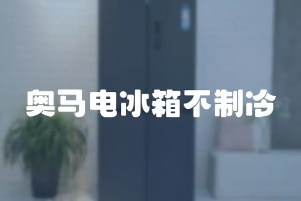 奧馬電冰箱不制冷