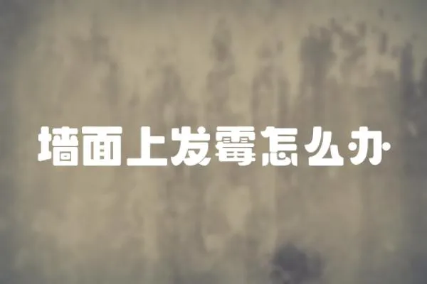 墻面上發(fā)霉怎么辦