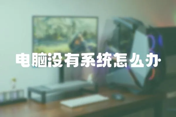 電腦沒有系統怎么辦