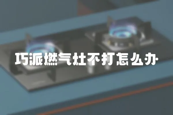 巧派燃氣灶不打怎么辦