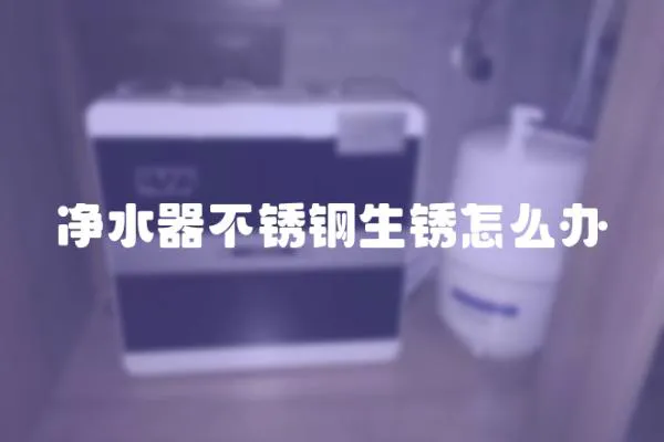 凈水器不銹鋼生銹怎么辦