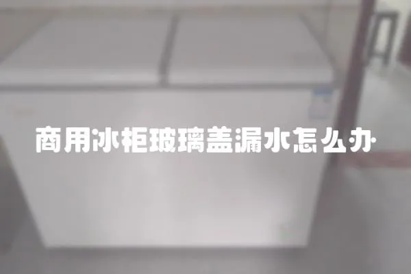 商用冰柜玻璃蓋漏水怎么辦