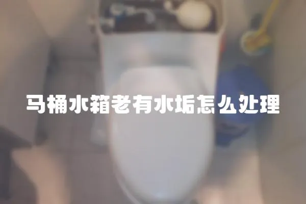 馬桶水箱老有水垢怎么處理