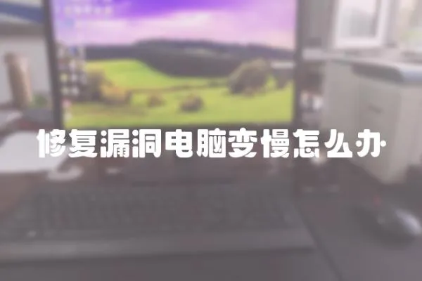 修復漏洞電腦變慢怎么辦