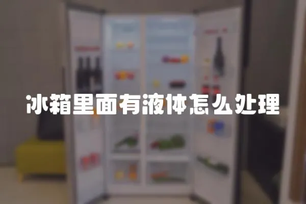 冰箱里面有液體怎么處理