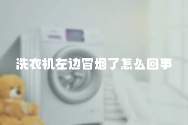 洗衣機左邊冒煙了怎么回事