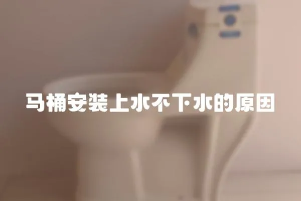 馬桶安裝上水不下水的原因