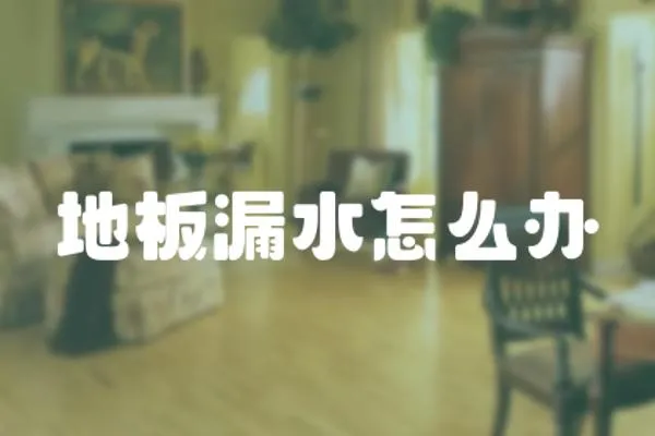 地板漏水怎么辦