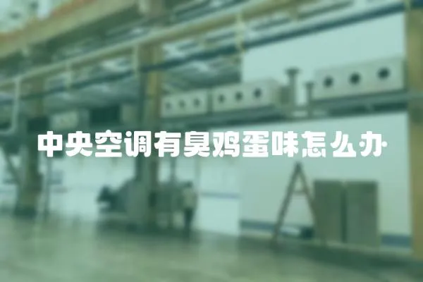 中央空調有臭雞蛋味怎么辦