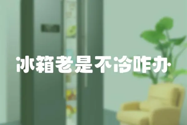 冰箱老是不冷咋辦