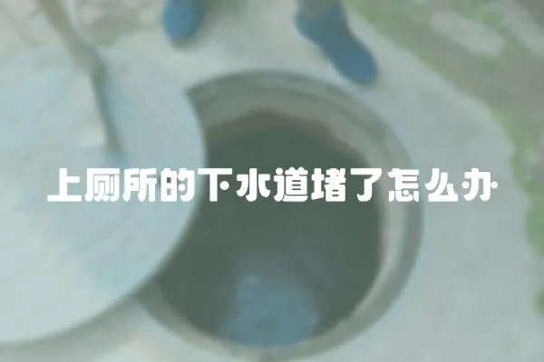 上廁所的下水道堵了怎么辦