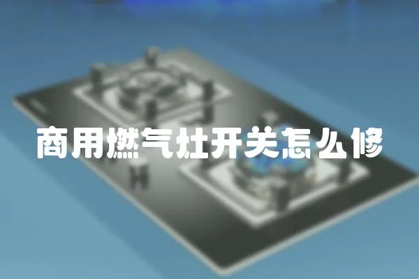 商用燃?xì)庠铋_關(guān)怎么修