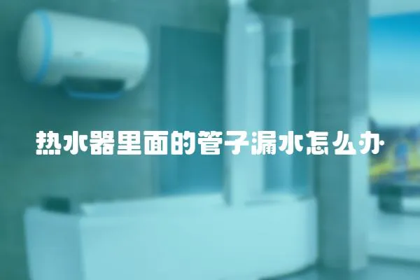 熱水器里面的管子漏水怎么辦