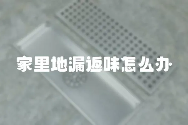 家里地漏返味怎么辦