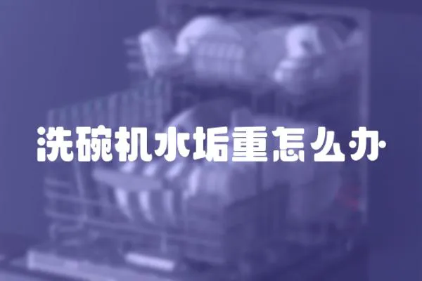 洗碗機水垢重怎么辦