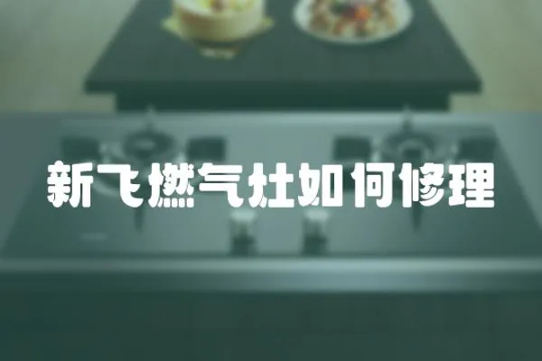 新飛燃?xì)庠钊绾涡蘩?></a></div>
                    <div   id=