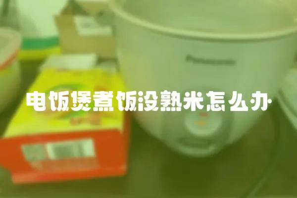 電飯煲煮飯沒熟米怎么辦