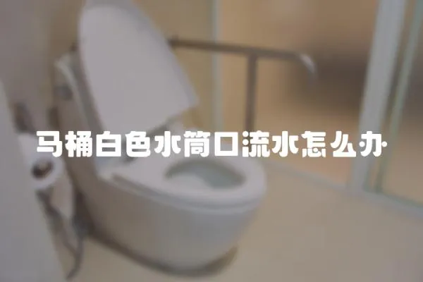 馬桶白色水筒口流水怎么辦