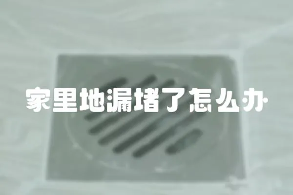 家里地漏堵了怎么辦