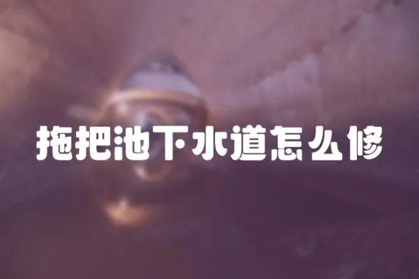 拖把池下水道怎么修