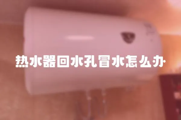 熱水器回水孔冒水怎么辦