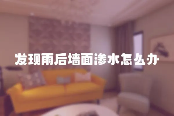 發現雨后墻面滲水怎么辦