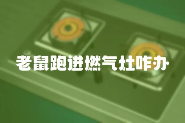 老鼠跑進燃氣灶咋辦