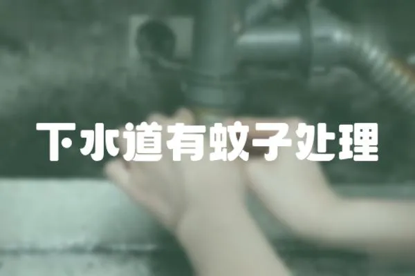 下水道有蚊子處理