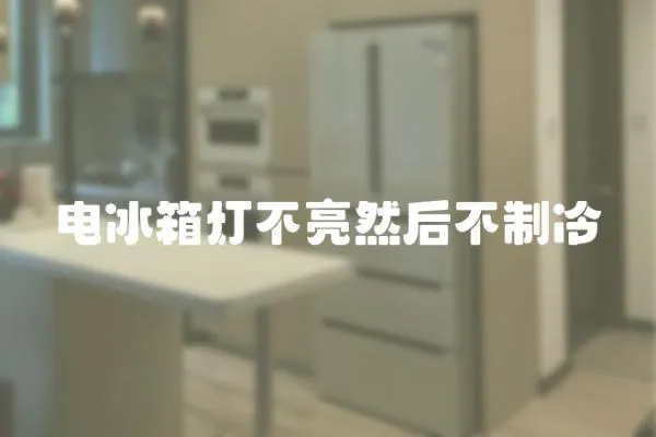 電冰箱燈不亮然后不制冷