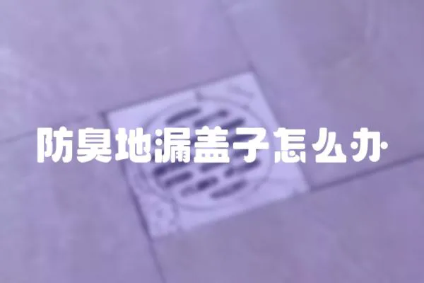 防臭地漏蓋子怎么辦