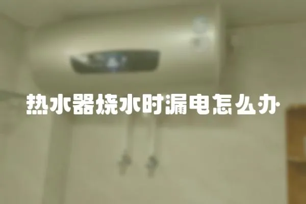 熱水器燒水時(shí)漏電怎么辦