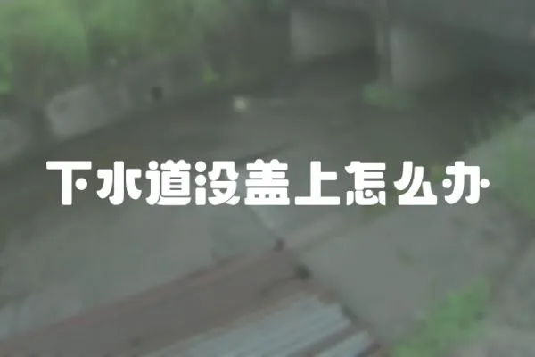下水道沒蓋上怎么辦