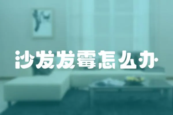 沙發發霉怎么辦