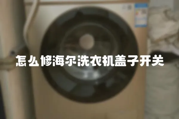 怎么修海爾洗衣機蓋子開關