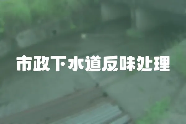 市政下水道反味處理