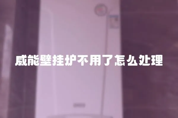 威能壁掛爐不用了怎么處理