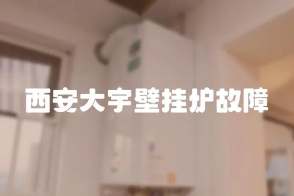 西安大宇壁掛爐故障