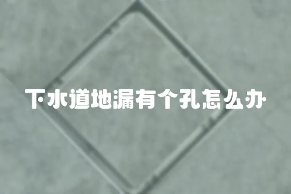 下水道地漏有個孔怎么辦