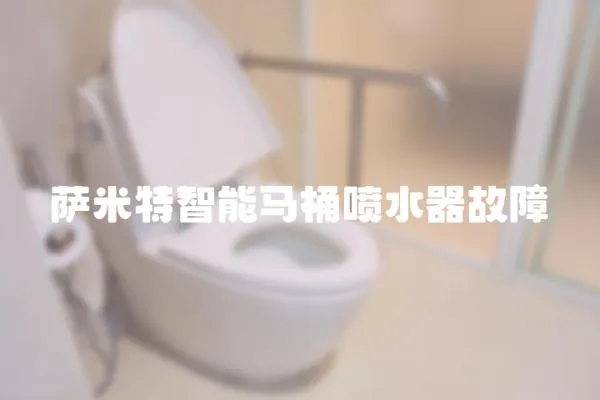 薩米特智能馬桶噴水器故障