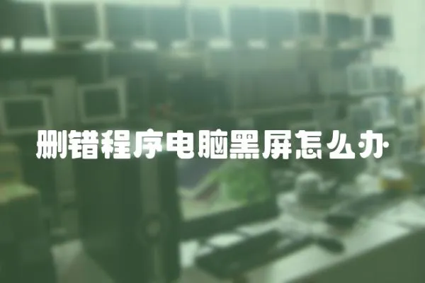 刪錯程序電腦黑屏怎么辦