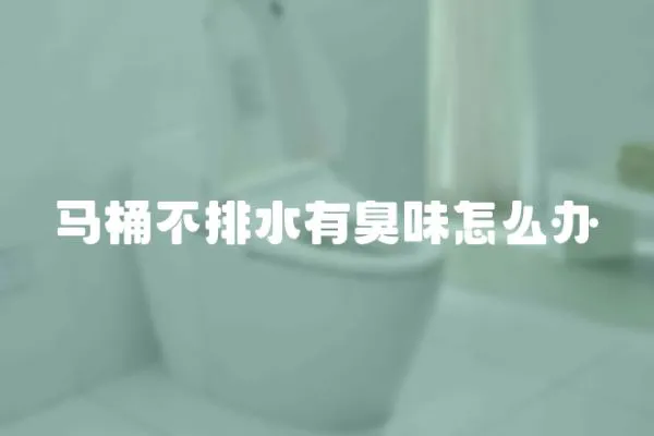 馬桶不排水有臭味怎么辦