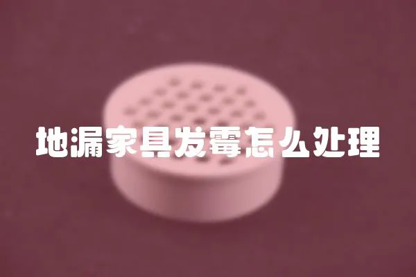 地漏家具發霉怎么處理