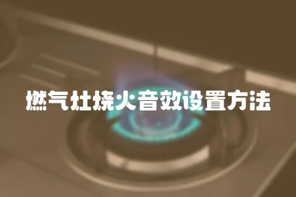 燃?xì)庠顭鹨粜гO(shè)置方法