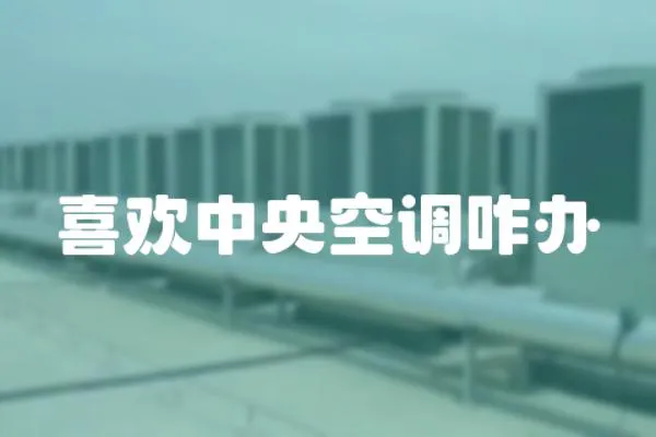 喜歡中央空調(diào)咋辦