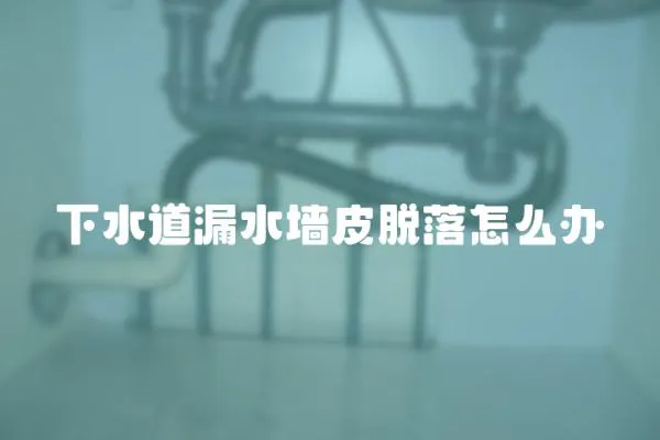 下水道漏水墻皮脫落怎么辦
