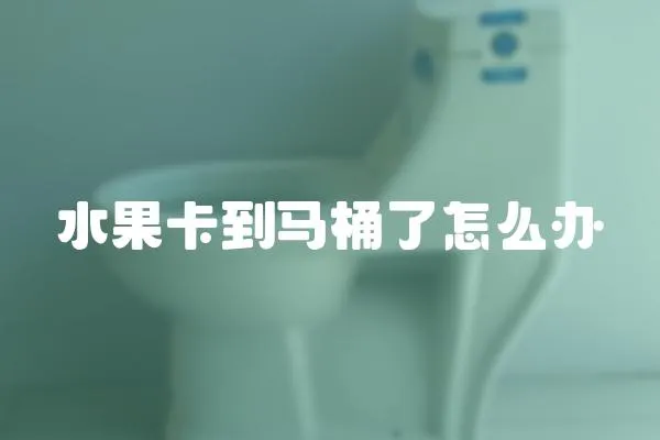 水果卡到馬桶了怎么辦
