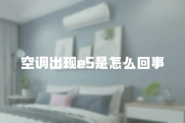空調(diào)出現(xiàn)e5是怎么回事