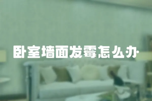 臥室墻面發(fā)霉怎么辦
